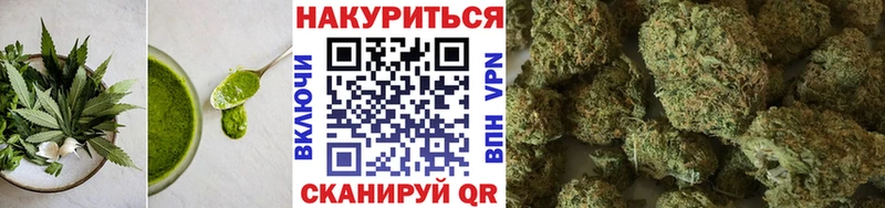 Canna-Cookies марихуана  купить наркотики цена  Лаишево 