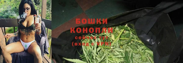 ГАЛЛЮЦИНОГЕННЫЕ ГРИБЫ Балабаново