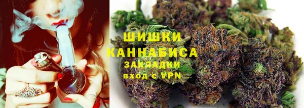 ГАЛЛЮЦИНОГЕННЫЕ ГРИБЫ Балабаново
